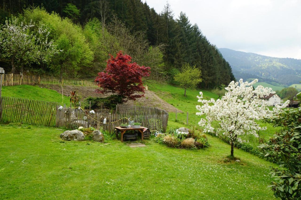Hoernleberg - Stubenhof, Black Forest Simonswald Esterno foto